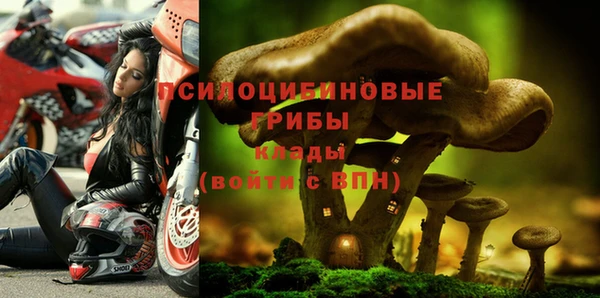марки lsd Костерёво