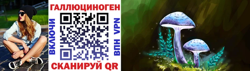 где купить наркоту  blacksprut как войти  Псилоцибиновые грибы Psilocybe  Ленинградская 